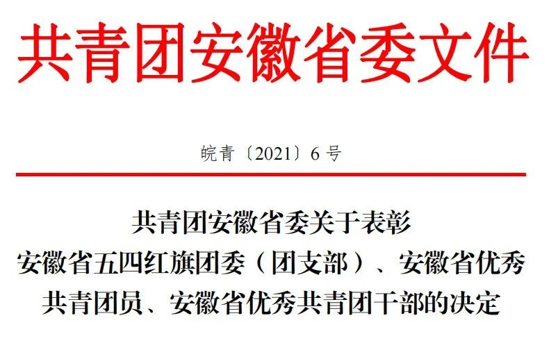 集团团委副书记高涛涛荣获“安徽省优秀共青团干部”称号