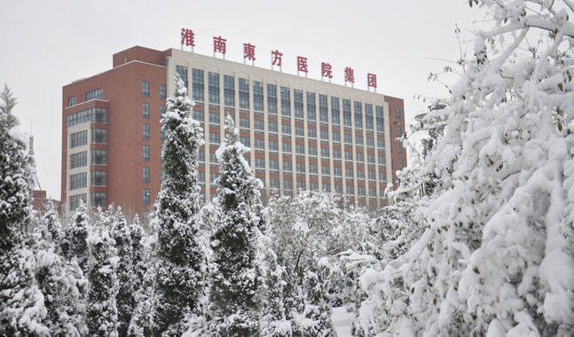 东　方　雪　景